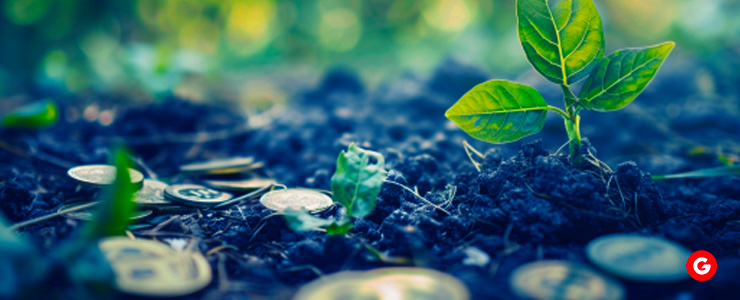 Gold Coins Embedded in the Earth, Signifying Wealth and Prosperity in the Flourishing Stock Market.